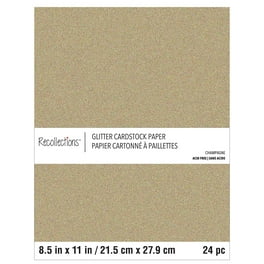 Spellbinders Glitter Cardstock 8.5X11 10/Pkg-Silver