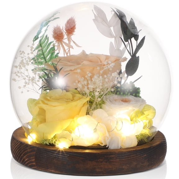 Champagne Rose Preserved Globe In Glass Dome, Long-Lasting Flowers With Wooden Base, Enduring Dry Flower Present For Special Occasions