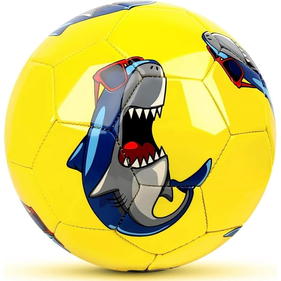 Champhox Soccer Ball, Size 2, Cartoon Design, Kids Ages 3+, Outdoor Sports Ball for Boys and Girls