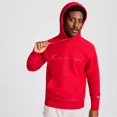 thumbnail image 1 of Champion Adult Sizing Iconic Embroidered Hoodie - Red, 1 of 6