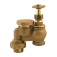 thumbnail image 1 of Champion Anti-Siphon Valve 1 in. 150 psi, 1 of 2