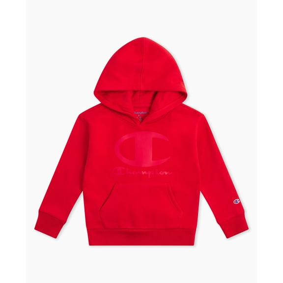 Champion Boys Color-Blocked Hoodie and Jogger Set - Gray Heather - Size 4