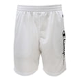 thumbnail image 1 of Champion Boys Vertical Script Athletic Mesh Short, Sizes 8-20, 1 of 2