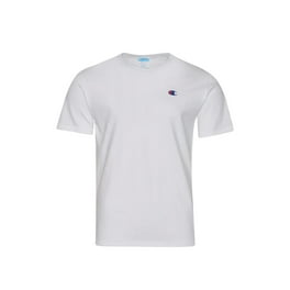 Champion gt19 y06819 clearance