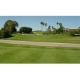 thumbnail image 1 of Champion GQ Perennial Ryegrass - 5 Lbs., 1 of 1