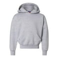 thumbnail image 1 of Champion Hoody Sweatshirt S790 Youth 9 oz. 50/50 EcoSmart Pullover, 1 of 10