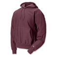 thumbnail image 1 of Champion Men  Hooded Long Sleeve Sweatshirts & Hoodies, 1 of 2