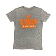 thumbnail image 1 of Champion Men's Graphic Team Logo Short Sleeve T-Shirt (Grey/Clemson Tigers, XXL), 1 of 2