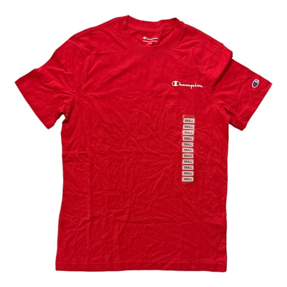 Champion Men's Short Sleeve Screen Print Graphic Logo Tee (Red Stone, S)