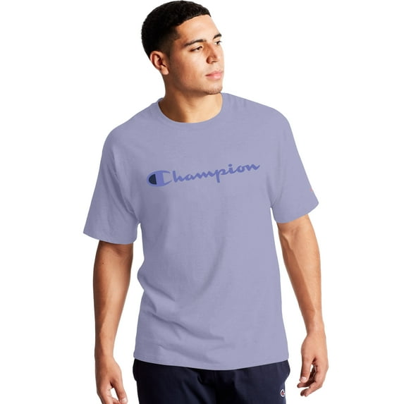 Champion Mens Classic Jersey Short-Sleeve Tee, XL, Land Ice