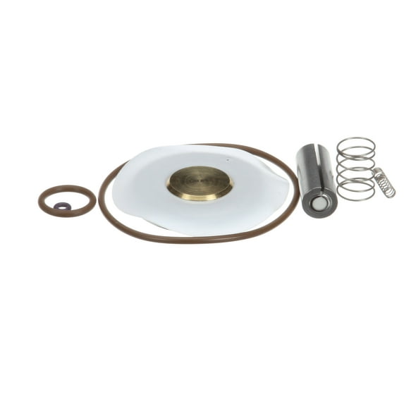 Champion - Moyer Diebel 109904 Repair Kit, 1Ij-E Steamer Water Valve