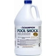 thumbnail image 1 of Champion Pool Shock, 12.5% Liquid Chlorinator for Swimming Pools, 1 Gallon - Fast-Acting Sodium Hypochlorite Sanitizer, Ready to Use, Non-Staining, Non-Scaling, Commercial Grade, 1 of 8