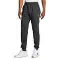 thumbnail image 1 of Champion POWERBLEND FLEECE RLXD BTTM PANT, 1 of 3