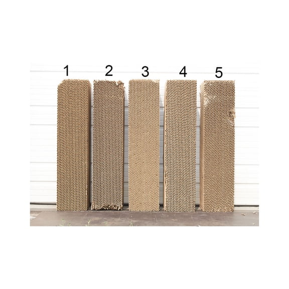 Champion Pad set with slight damage 310112D