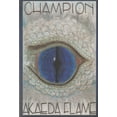 thumbnail image 1 of Pre-Owned Champion Paperback, 1 of 1