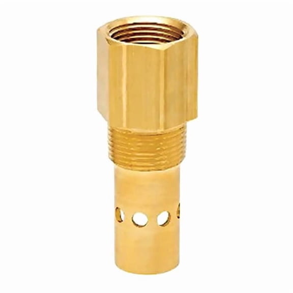 Champion Pneumatic Check Valve,Intake,3/4in P05822B
