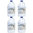 Champion Pool Shock Liquid Chlorinator for Pool Water Disinfection (4