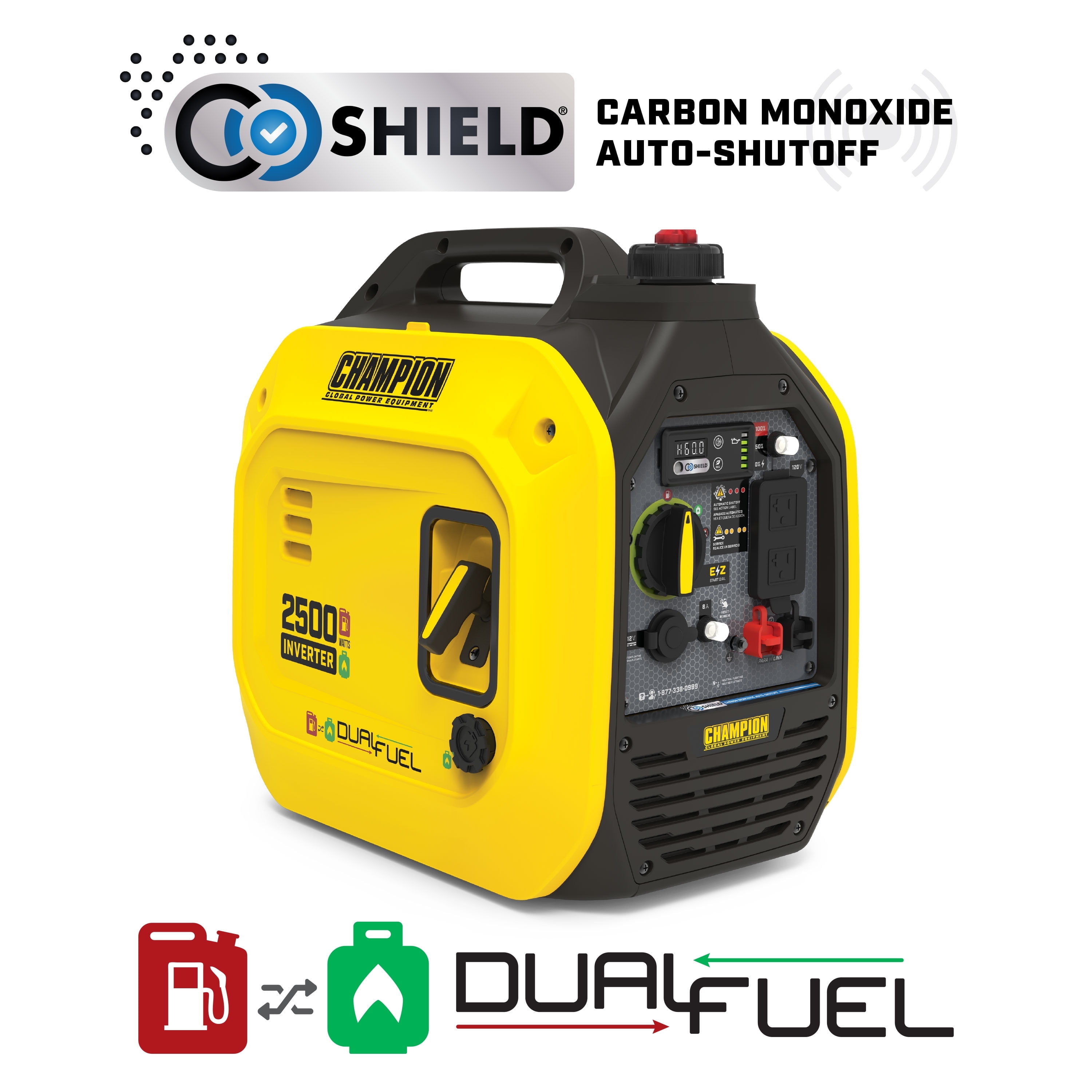 Champion Watt Dual Fuel Portable Generator Electric Start