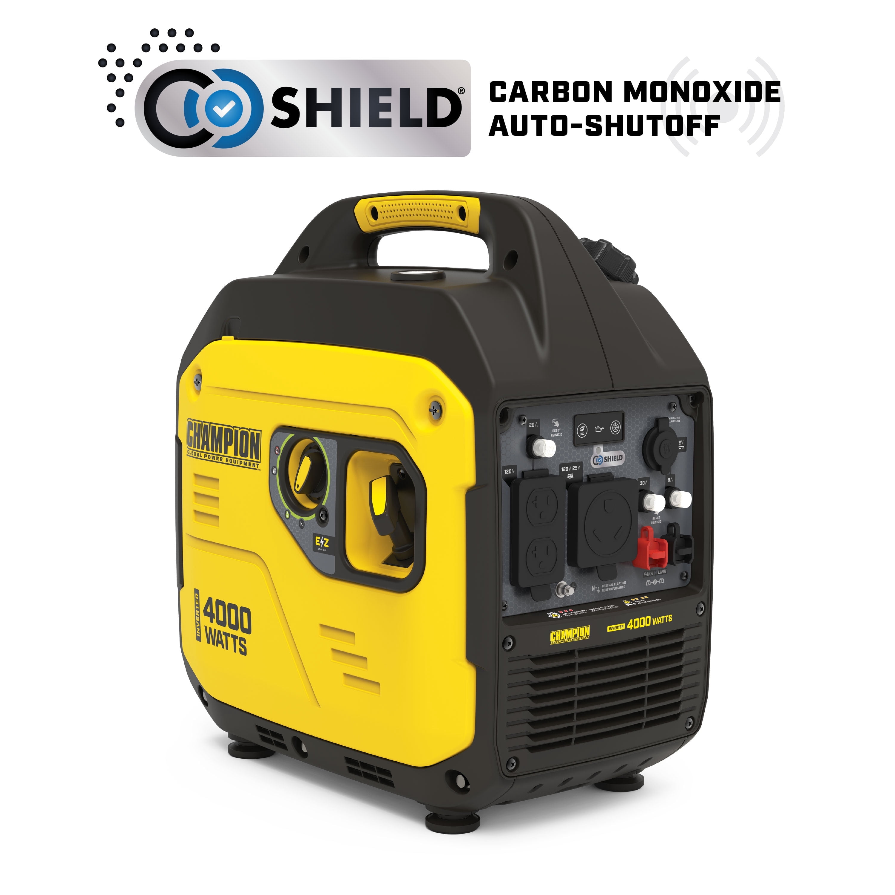 Champion Watt Dual Fuel Portable Generator Electric Start
