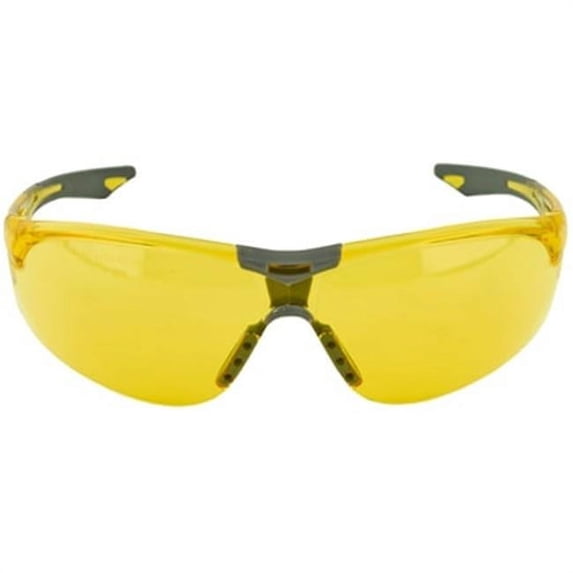Champion Shoot Eye Protect