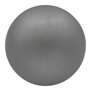 Champion Sports Iron Shot Put, Silver, 12 Pounds