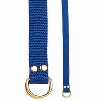 Champion Sports 20208 Football Belt, Blue