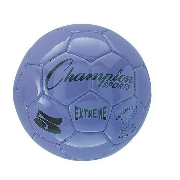 Champion Sports 4 Size Extreme Series Soccer Ball - Purple