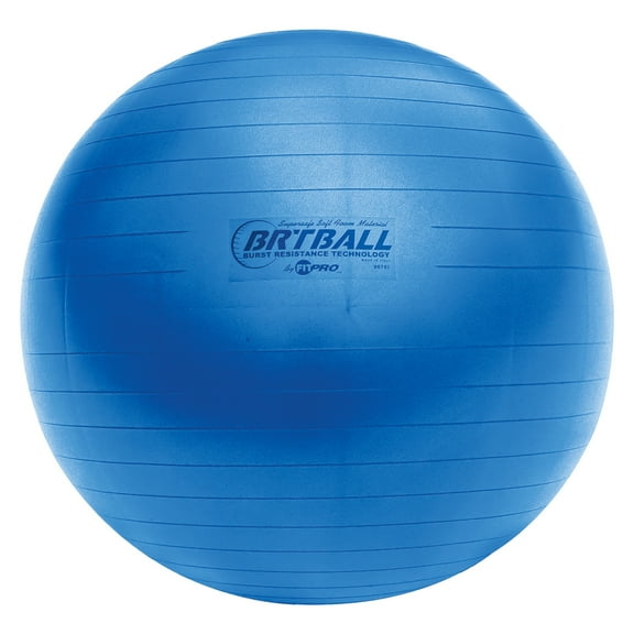 Champion Sports Blue Training/Exercise Ball, Royal Blue (BRT42), 42 Cm