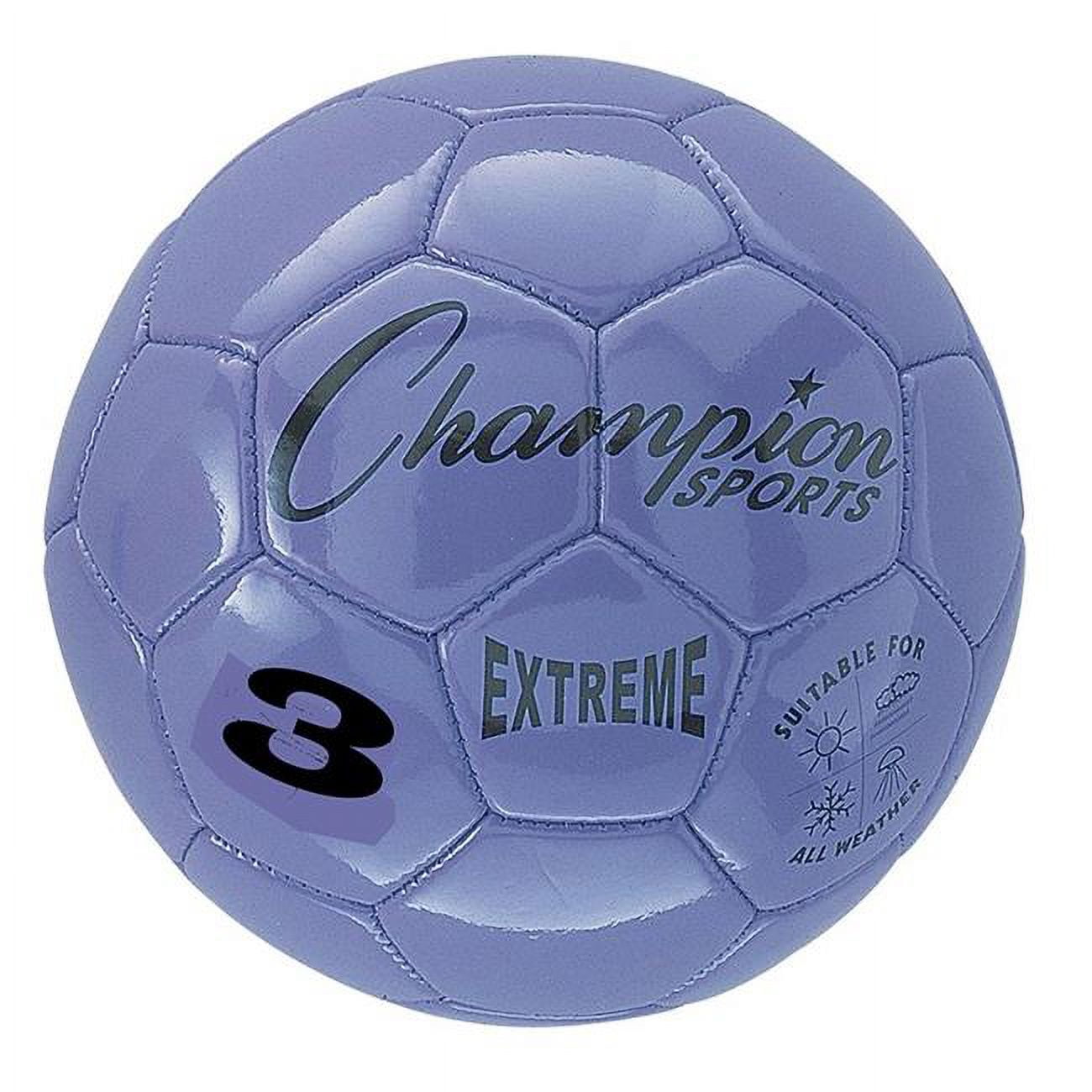 Champion Sports CHSEX3PR-2 Size 3 Soccer Ball Composite, Purple - 2 Each