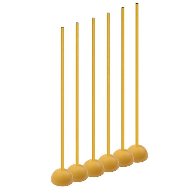 Champion sports coaching sticks clearance