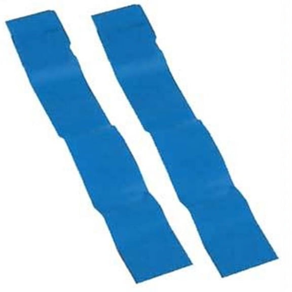 Champion Sports  FB336P Economy Replacement Flags - Blue