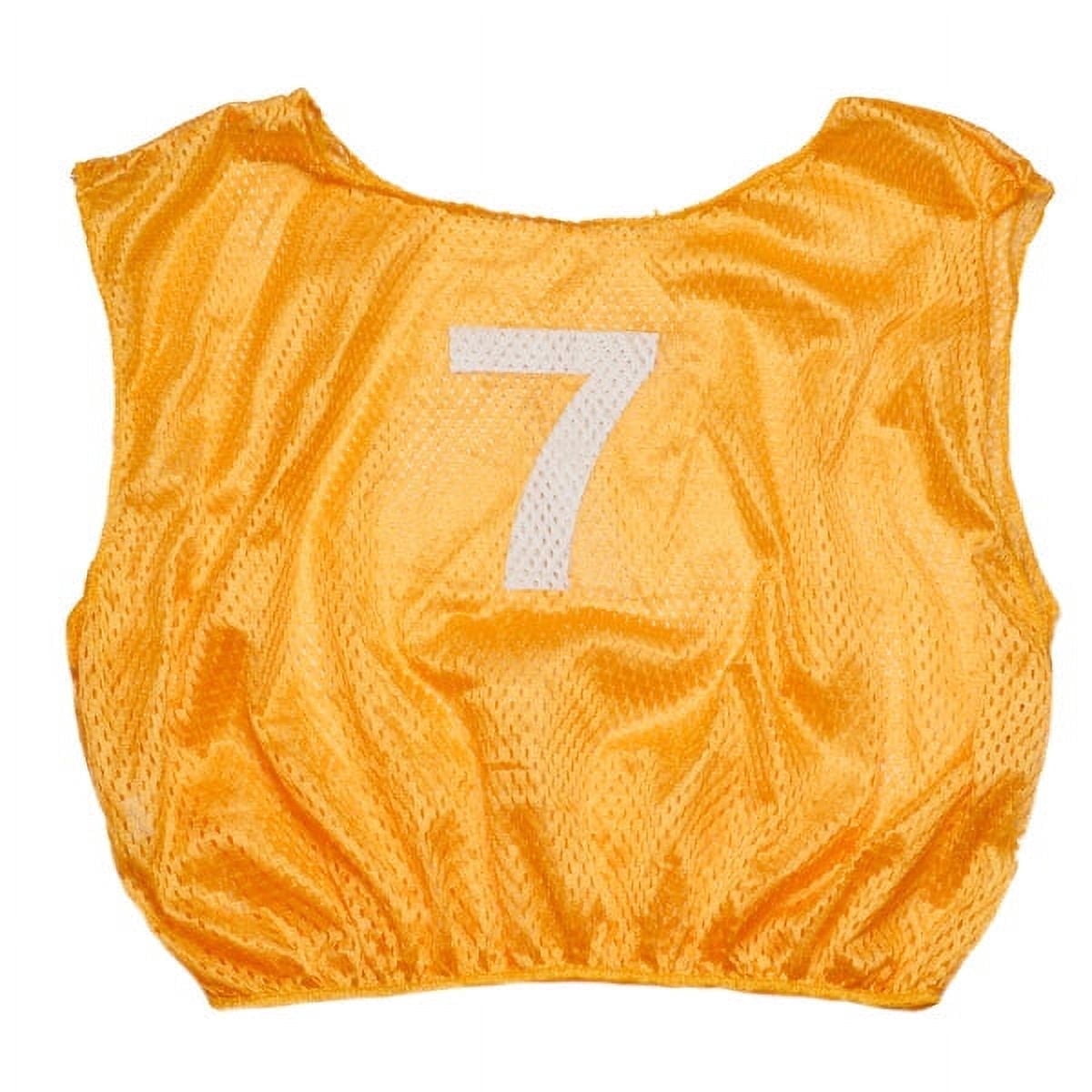 Champion Sports Mesh Practice Scrimmage Vest Regular and Numbered ...