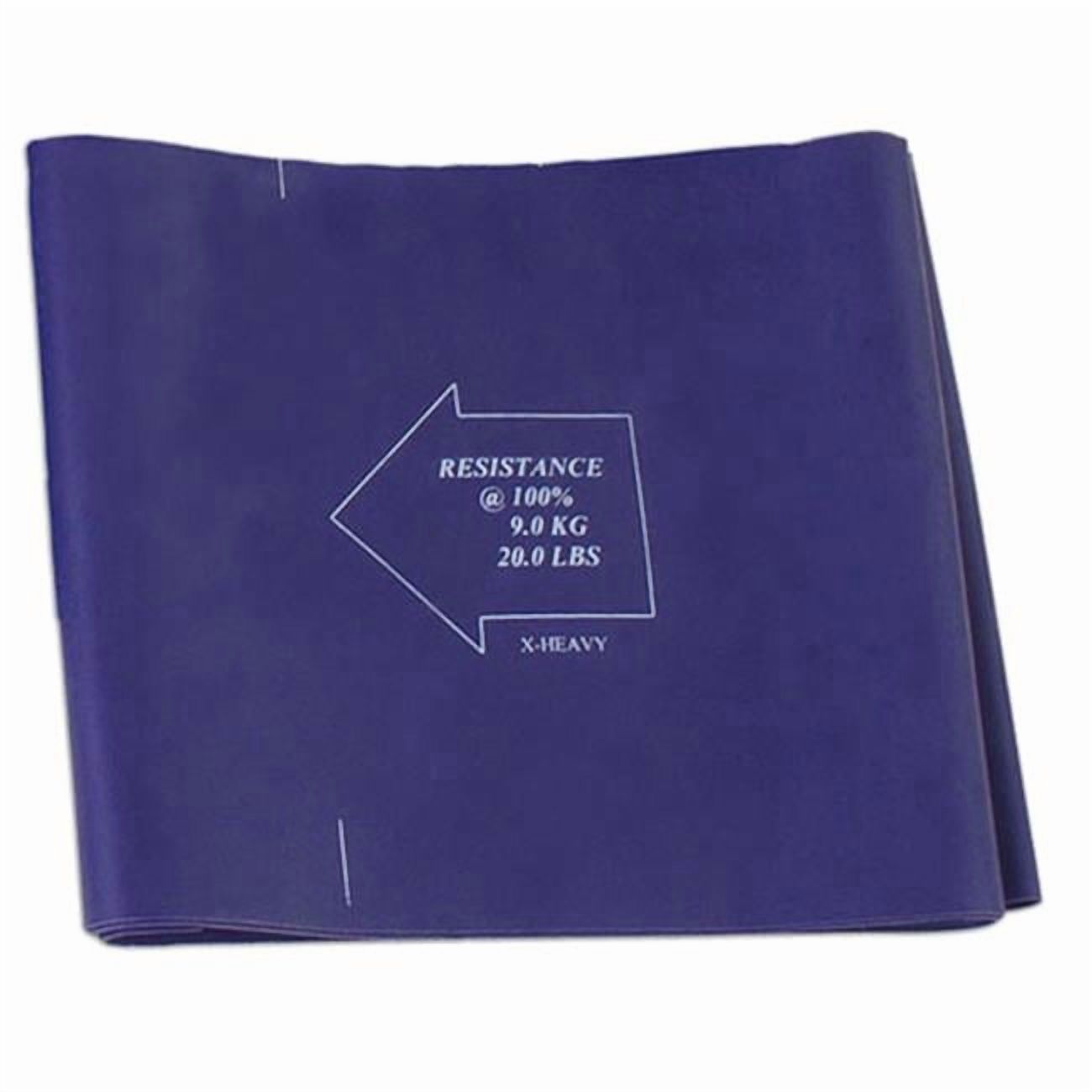 Champion Sports  X - Heavy Exercise Flat Bands - Purple