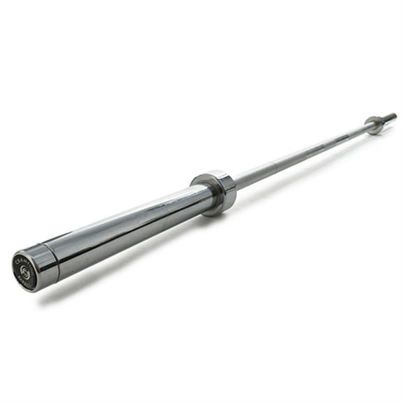 Champion Texas Power Bar, Silver