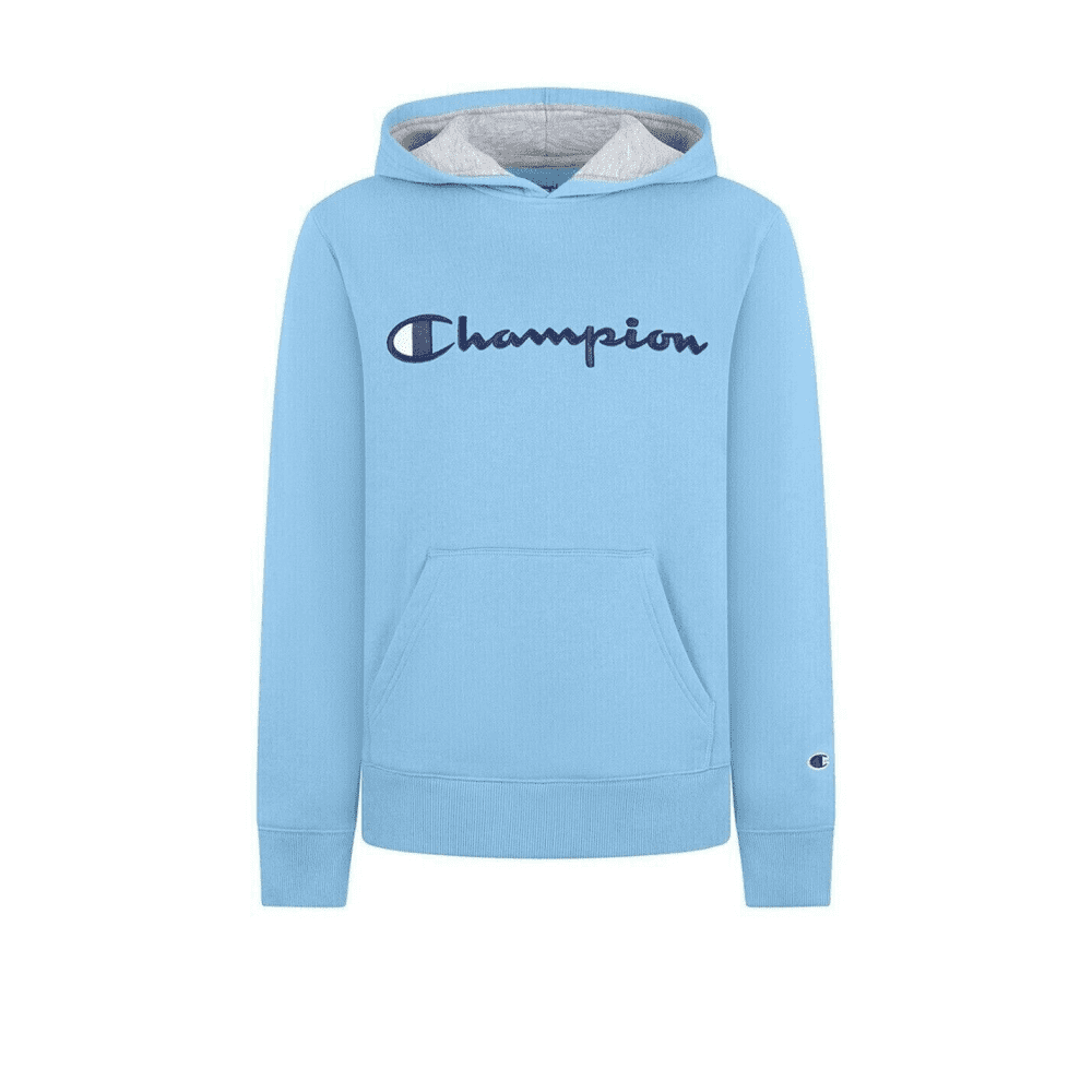 Champion Toddler Fleece Sweater Hoodie Blue Sea Glass Size 4 Walmart