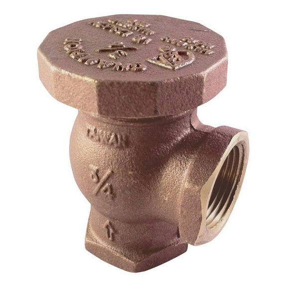 Champion Vacuum Breaker With Union 3/4 " Ips Inlet Bulk