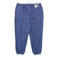 thumbnail image 1 of Champion Women's Authentic Athleticwear Fleece Lined Drawstring Sweatpant, 1 of 1