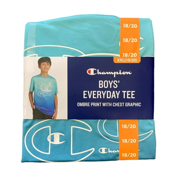 Champion Youth Boy's Soft Short Sleeve Everyday Chest Graphic Logo Tee (Surf The Web, XXL (18/20))