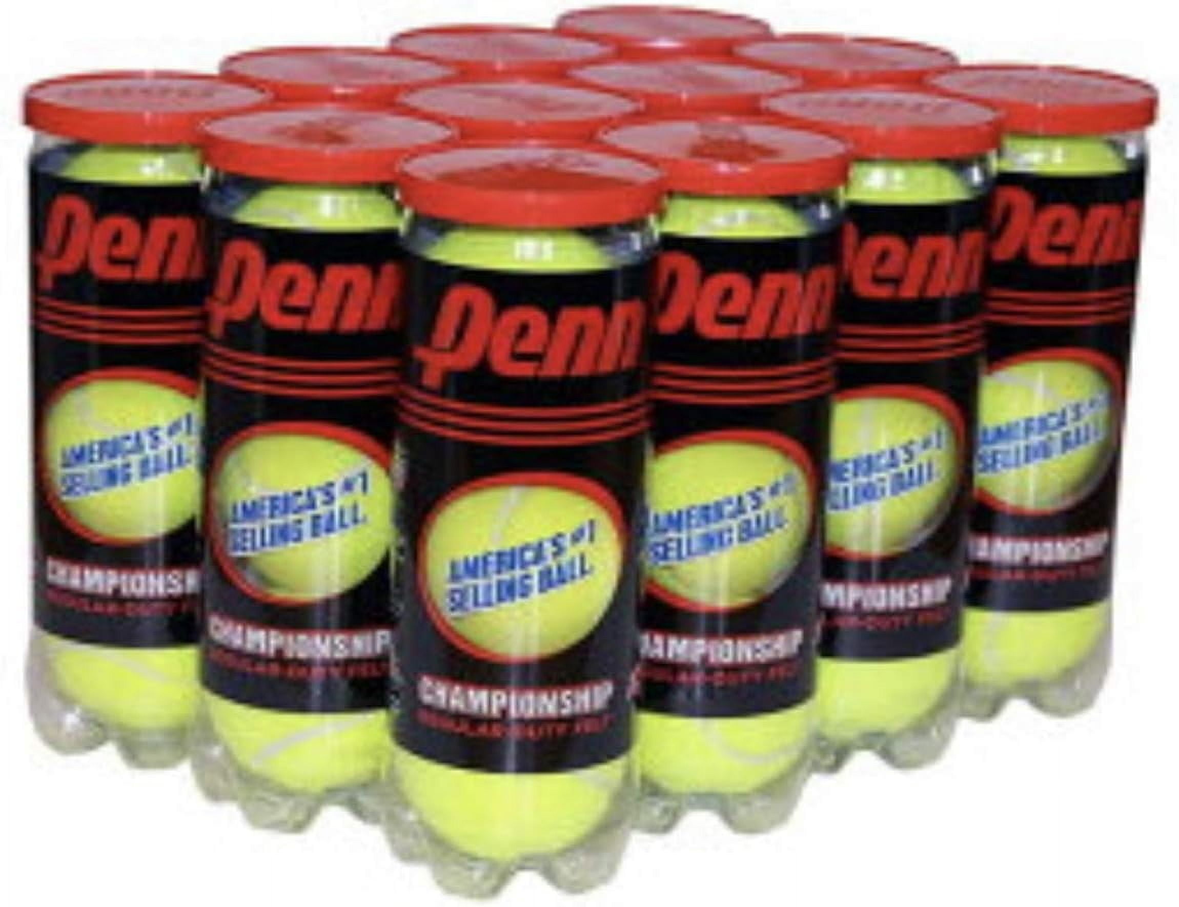 Championship (20 Cans, 60 Balls Total Regular Duty Felt)