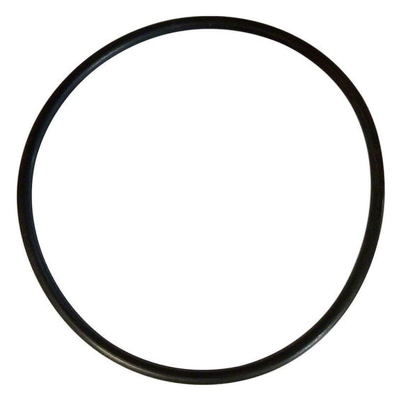 Champlain Plastics Champlain Chlorinator Lid O-Ring Set of 10 BUL-94-5
