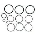 thumbnail image 1 of Champlain Plastics  O-Ring Replacement Kit, 1 of 1