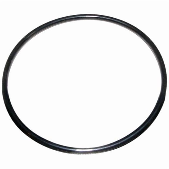Zodiac R0412700 2-Inch Black O-Ring Replacement for Zodiac AquaPure Water Purification System