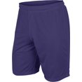 thumbnail image 1 of Champro BBS55 Dynamic Tricot Men's and Youth Mesh Short - Purple, 1 of 1