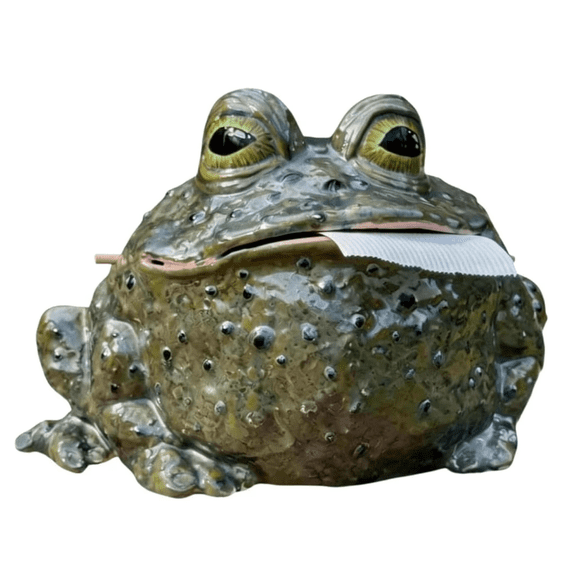 Chanana Whimsical Toad Tissue Box Cover, Funny Frog TissueHolder, Ceramics Animal Tissue Dispenserfor Bathroom, Table, Kitchen & Office, Whimsical Farmhouse Rustic Decor