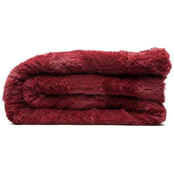 Chanasya Super Soft Cozy Sherpa Fuzzy Fur Warm Throw Blanket