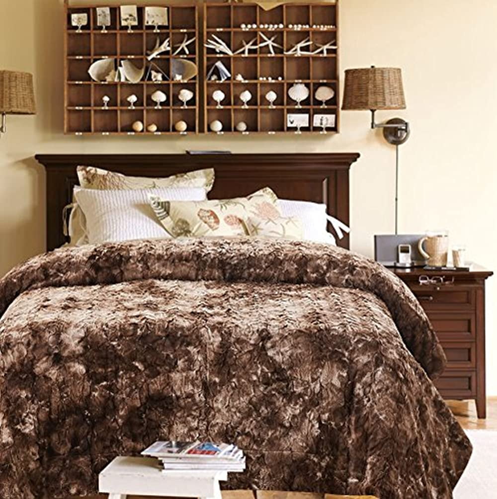 Chanasya Super Soft Fuzzy Fur Faux Fur Cozy Warm Fluffy Beautiful Color