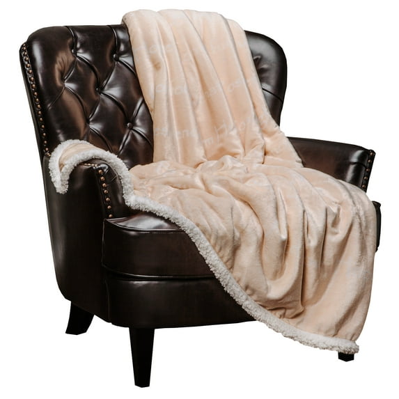 Chanasya Warm Hugs Positive Energy Healing Thoughts Super Soft Fleece Sherpa Microfiber Comfort Caring Beige Gift Throw Blanket - Get Well Soon Gift for Women Men Cancer Patient - Whitesmoke Blanket