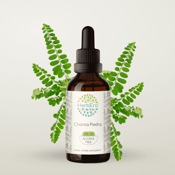 HerbEra Chanca Piedra Tincture, Herbal Dietary Supplement for Kidney Support, Chanca Piedra (Phyllanthus niruri) Dried Herb Extract, Natural, Alcohol-Free, Drops 2 oz