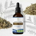 thumbnail image 1 of Secrets Of The Tribe Chanca Piedra Tincture Dietary Supplement, Natural Herbal Extract for Kidney Support, Chanca Piedra (Phyllanthus niruri) Dried Herb, Alcohol-Free Extract, Drops 4 oz, 1 of 7