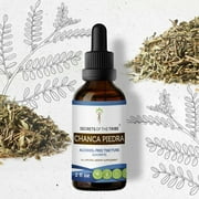 Chanca Piedra Tincture Alcohol-FREE Extract, Organic Chanca Piedra (Phyllanthus niruri) Dried Herb 2 oz